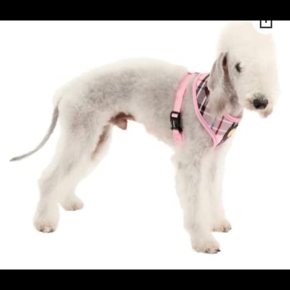 Dog Harness - Picture 3 of 6